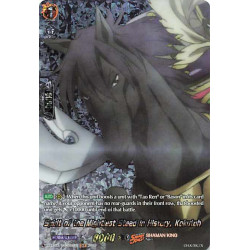 Vanguard_TCG_card_D-TB03_SKR086EN_SKR_Spirit_of_the_Mightiest_Steed_in_History_Kokutoh_SHAMAN_KING