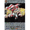 Vanguard_TCG_card_D-TB03_SKR115EN_SKR_21_Team-mates_SHAMAN_KING