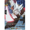 Vanguard_TCG_card_D-TB03_SKR116EN_SKR_Impaling_Punishment_Boris_Tepes_Dracula_SHAMAN_KING