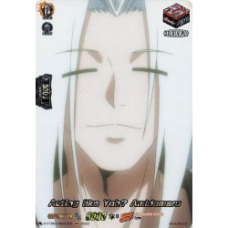 Vanguard_TCG_card_D-TTD03_SKR13EN_SKR_Acting_like_Yoh?_Amidamaru_SHAMAN_KING
