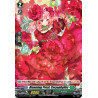 Vanguard_TCG_card_D-BT03_H42EN_H_Blooming_Petal_Caryophyllus_Advance_of_Intertwined_Stars