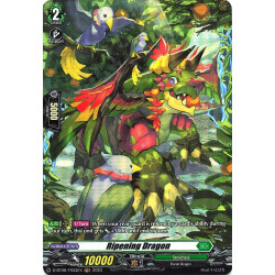 Vanguard_TCG_card_D-BT08_FR33EN_FR_Ripening_Dragon_Minerva_Rising