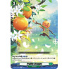Vanguard_TCG_card_D-BT09_056EN_R_Prolific_Oranges_Dragontree_Invasion