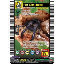 Vanguard_TCG_card_D-BT13_EX08ENEN_EX_Flat_Stag-beetle_Flight_of_Chakrabarthi
