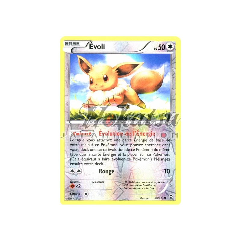 Pokemon - Eevee (80/111) - XY Furious Fists