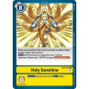 Digimon_TCG_BT11-101_Holy_SunshineCommon_Dimensional_Phase_Card_Game