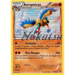 PKM 054/101 Aeropteryx