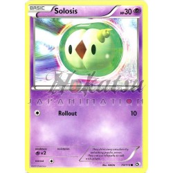 PKM 073/113 Solosis