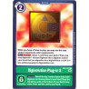 Digimon_TCG_EX2-070_Digivolution_Plug-In_S_Common_Digital_Hazard_Card_Game