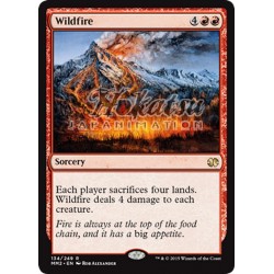 MTG 134/249 Wildfire