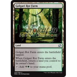 MTG 243/249 Golgari Rot Farm