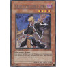 yu-gi-oh-tcg-abpf-fr028-r-heritier-des-protecteurs-du-tombeau-puissance-absolue