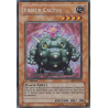 yu-gi-oh-tcg-abpf-fr084-se-videur-cactus-puissance-absolue