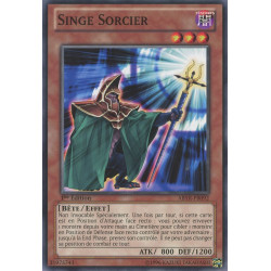 yu-gi-oh-tcg-abyr-fr092-c-singe-sorcier-l-ascension-des-abysses