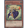 yu-gi-oh-tcg-abyr-fr097-r-papa-mais-l-ascension-des-abysses