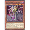 yu-gi-oh-tcg-abyr-fr024-r-empereur-de-la-prophetie-l-ascension-des-abysses