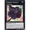yu-gi-oh-tcg-abyr-fr041-sr-cowboy-gagaga-l-ascension-des-abysses