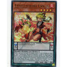 Yu-Gi-Oh-TCG-ANGU-EN017-UR-FaSolfachord-Fancia-Ancient-Guardians