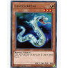 Yu-Gi-Oh-TCG-ANGU-EN044-R-Lightserpent-Ancient-Guardians