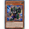 Yu-Gi-Oh-TCG-ANGU-EN046-R-Dinowrestler-Pankratops-Ancient-Guardians