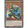 Yu-Gi-Oh-TCG-BACH-EN022-C-Kaiza-the-Hidden-Star-Battle-of-Chaos