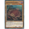Yu-Gi-Oh-TCG-BACH-EN029-C-Leafplace-Plaice-Battle-of-Chaos