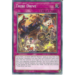 Yu-Gi-Oh-TCG-BACH-EN078-C-Tribe-Drive