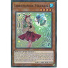 Yu-Gi-Oh-TCG-BACH-EN086-SR-Libromancer-Magigirl
