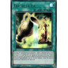 Yu-Gi-Oh-TCG-BLHR-FR002-UR-Eau-de-la-Vie-Batailles-de-L-gende-La-Vengeance-du-H-ros