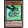 Yu-Gi-Oh-TCG-BLHR-FR016-UR-Aliz-e-Sorci-re-de-la-Bonne-Aventure-Batailles-de-L-gende-La-Vengeance-du-H-ros