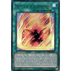 Yu-Gi-Oh-TCG-BLHR-FR073-UR-Volont-de-la-Salamangrande-Batailles-de-L-gende-La-Vengeance-du-H-ros