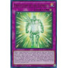 Yu-Gi-Oh-TCG-BLMR-EN038-UR-Protection-of-the-Elements-Battles-of-Legend-Monstrous-Revenge