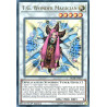 Yu-Gi-Oh-TCG-BLRR-EN057-UR-T-G-Wonder-Magician-Battles-of-Legend-Relentless-Revenge