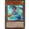 Yu-Gi-Oh-TCG-BLVO-EN017-UR-Windwitch-Freeze-Bell-Blazing-Vortex