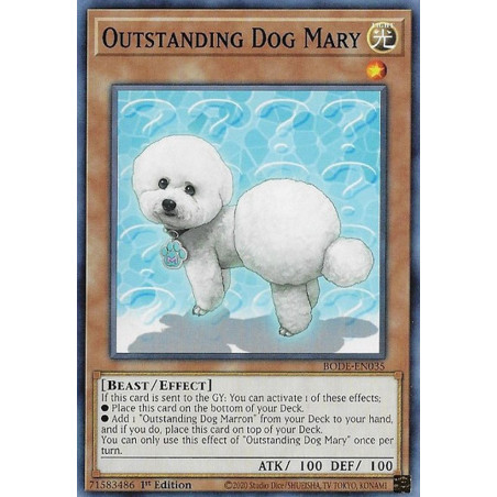 Yu-Gi-Oh-TCG-BODE-EN035-C-Outstanding-Dog-Mary-Burst-of-Destiny
