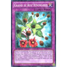 Yu-Gi-Oh-TCG-BP02-FR192-C-Graines-de-Rose-D-moniaque-Battle-Pack-2-La-Guerre-des-G-ants