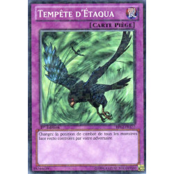 Yu-Gi-Oh-TCG-MR-BP02-FR177-MR-Temp-te-d-taqua-Battle-Pack-2-La-Guerre-des-G-ants