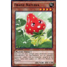 Yu-Gi-Oh-TCG-BP01-FR210-C-Fraise-Naturia-Battle-Pack-1-l-Aube-Epique