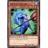 Yu-Gi-Oh-TCG-BP03-FR059-R-Soldat-Triton-Battle-Pack-3-La-Ligue-des-Monstres