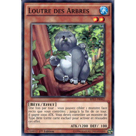 Yu-Gi-Oh-TCG-BP03-FR062-R-Loutre-des-Arbres-Battle-Pack-3-La-Ligue-des-Monstres