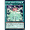 Yu-Gi-Oh-TCG-BP03-FR177-R-Livre-de-Magie-de-la-Sagesse-Battle-Pack-3-La-Ligue-des-Monstres