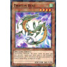 Yu-Gi-Oh-TCG-SH-BP03-FR085-SH-Dragon-Rus-Battle-Pack-3-La-Ligue-des-Monstres