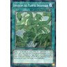 Yu-Gi-Oh-TCG-SH-BP03-FR165-SH-Invasion-des-Plantes-Infernales-Battle-Pack-3-La-Ligue-des-Monstres