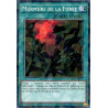 Yu-Gi-Oh-TCG-SH-BP03-FR174-SH-Murmure-de-la-For-t-Battle-Pack-3-La-Ligue-des-Monstres