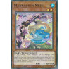 yu-gi-oh-tcg-cyac-en014-sr-mannadium-meek-cyberstorm-access