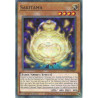 yu-gi-oh-tcg-cyac-en027-c-sakitama-cyberstorm-access
