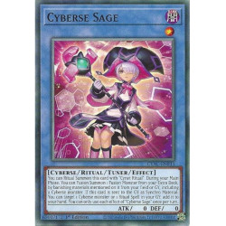 yu-gi-oh-tcg-cyac-en033-c-cyberse-sage-cyberstorm-access
