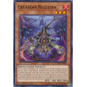 yu-gi-oh-tcg-cyho-en006-c-crusadia-reclusia-cybernetic-horizon