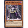 yu-gi-oh-tcg-cyho-en022-c-terrifying-toddler-of-torment-cybernetic-horizon