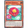 yu-gi-oh-tcg-dabl-en021-c-naturia-camellia-darkwing-blast